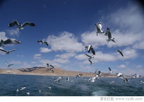 国庆带你心灵旅行——西藏篇