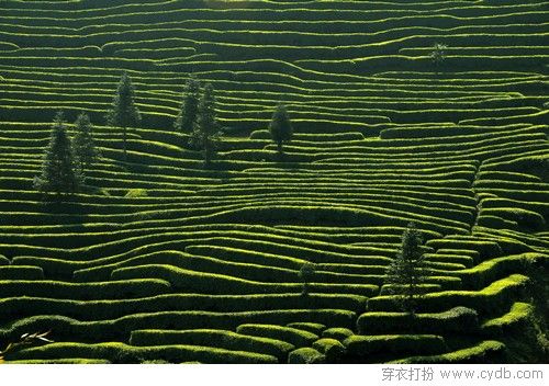 国庆带你心灵旅行——四川篇